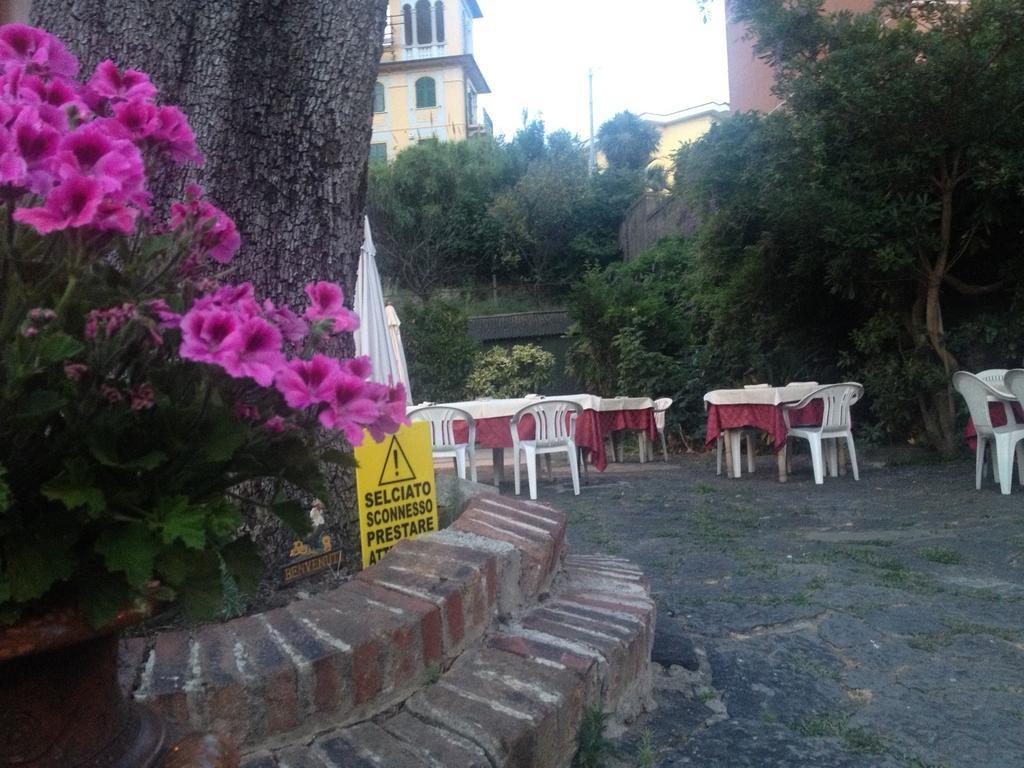 Fieschi Hotel 3*