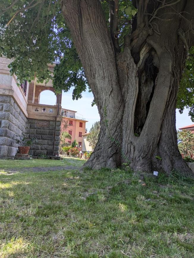 Hotel Fieschi